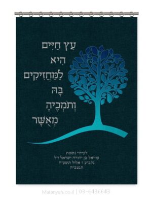 פרוכת ארון קודש מבית מתניה עם רקמה איכותית ואומנותית תלת‑ממדית