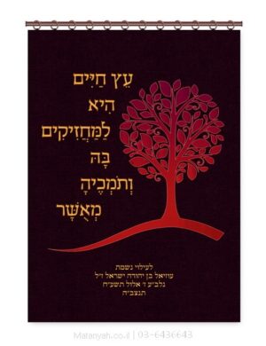 פרוכת ארון קודש מבית מתניה עם רקמה איכותית ואומנותית תלת‑ממדית