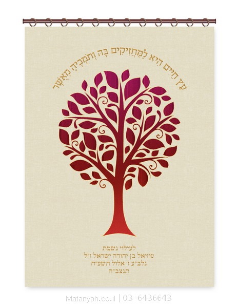 פרוכת ארון קודש מבית מתניה עם רקמה איכותית ואומנותית תלת‑ממדית
