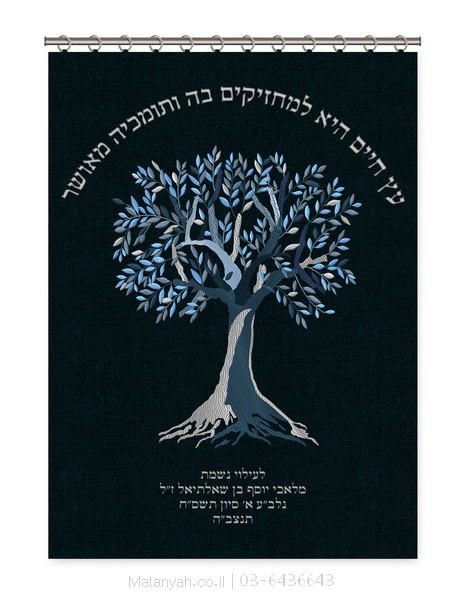 פרוכת ארון קודש מבית מתניה עם רקמה איכותית ואומנותית תלת‑ממדית