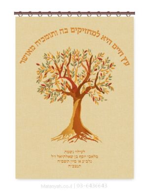 פרוכת ארון קודש מבית מתניה עם רקמה איכותית ואומנותית תלת‑ממדית