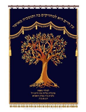פרוכת ארון קודש מבית מתניה עם רקמה איכותית ואומנותית תלת‑ממדית