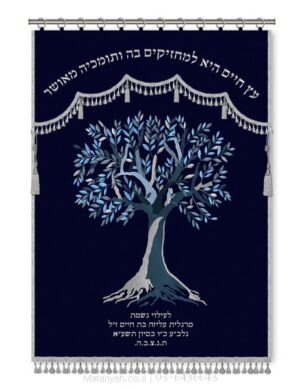 פרוכת ארון קודש מבית מתניה עם רקמה איכותית ואומנותית תלת‑ממדית