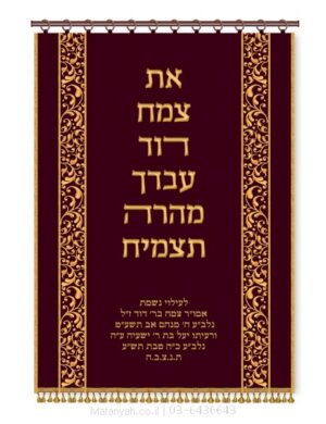 פרוכת ארון קודש מבית מתניה עם רקמה איכותית ואומנותית תלת‑ממדית
