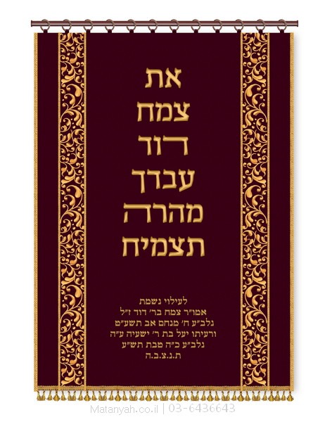 פרוכת ארון קודש מבית מתניה עם רקמה איכותית ואומנותית תלת‑ממדית