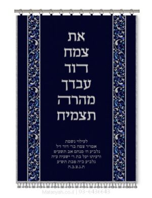 פרוכת ארון קודש מבית מתניה עם רקמה איכותית ואומנותית תלת‑ממדית