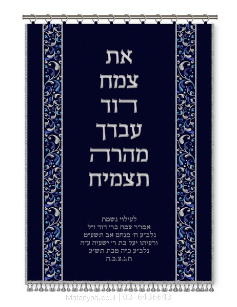 פרוכת ארון קודש מבית מתניה עם רקמה איכותית ואומנותית תלת‑ממדית