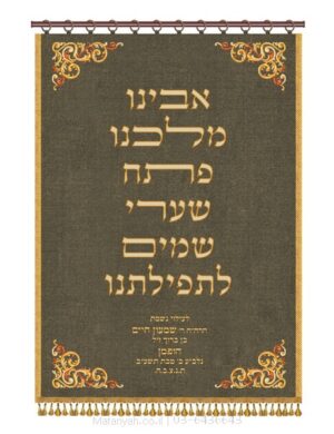 פרוכת ארון קודש מבית מתניה עם רקמה איכותית ואומנותית תלת‑ממדית