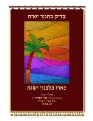 פרוכת ארון קודש מבית מתניה עם רקמה איכותית ואומנותית תלת‑ממדית