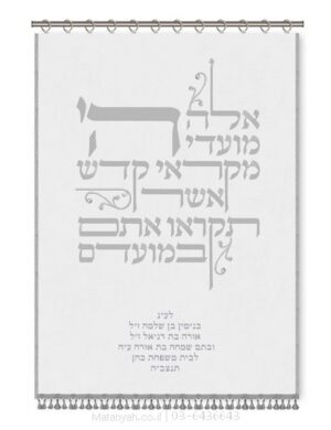 פרוכת ארון קודש מבית מתניה עם רקמה איכותית ואומנותית תלת‑ממדית