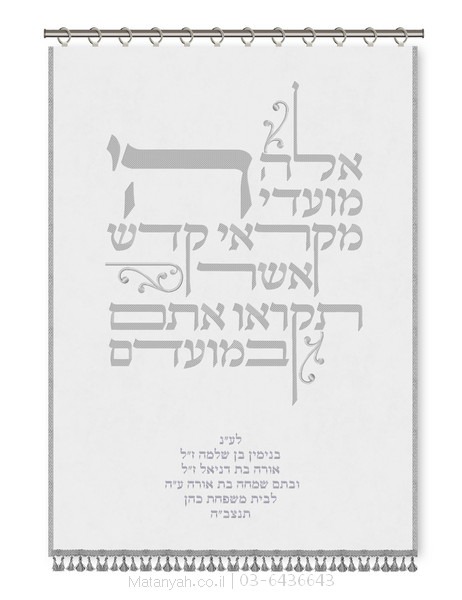 Aron Kodesh Parochial Shroud from Matanya with high-quality, artistic 3D embroidery
