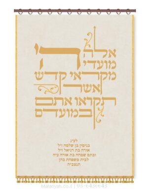 פרוכת ארון קודש מבית מתניה עם רקמה איכותית ואומנותית תלת‑ממדית