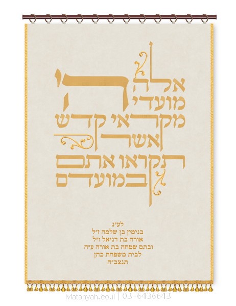 פרוכת ארון קודש מבית מתניה עם רקמה איכותית ואומנותית תלת‑ממדית