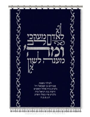 פרוכת ארון קודש מבית מתניה עם רקמה איכותית ואומנותית תלת‑ממדית