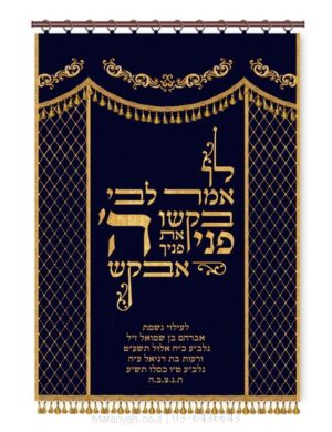 פרוכת ארון קודש מבית מתניה עם רקמה איכותית ואומנותית תלת‑ממדית