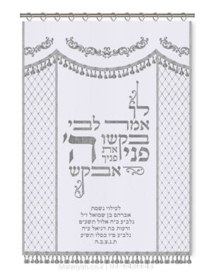 פרוכת ארון קודש מבית מתניה עם רקמה איכותית ואומנותית תלת‑ממדית