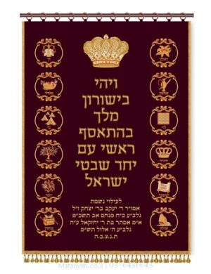 פרוכת ארון קודש מבית מתניה עם רקמה איכותית ואומנותית תלת‑ממדית