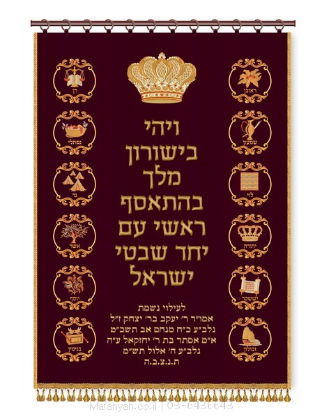 פרוכת ארון קודש מבית מתניה עם רקמה איכותית ואומנותית תלת‑ממדית