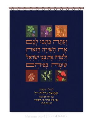 פרוכת ארון קודש מבית מתניה עם רקמה איכותית ואומנותית תלת‑ממדית