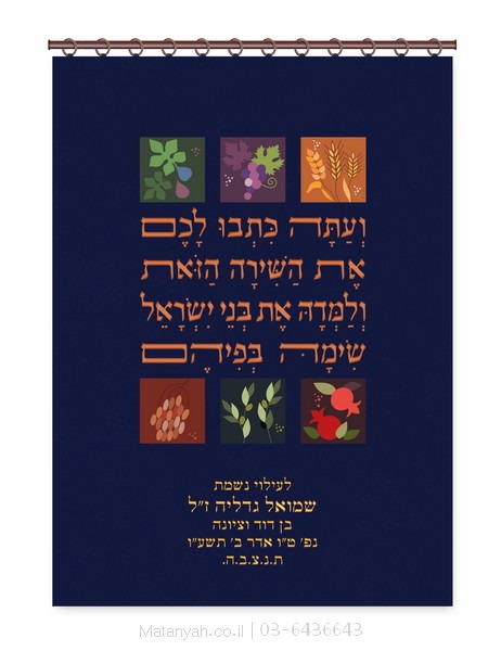 פרוכת ארון קודש מבית מתניה עם רקמה איכותית ואומנותית תלת‑ממדית