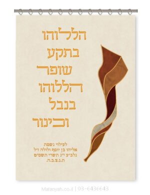 פרוכת ארון קודש מבית מתניה עם רקמה איכותית ואומנותית תלת‑ממדית