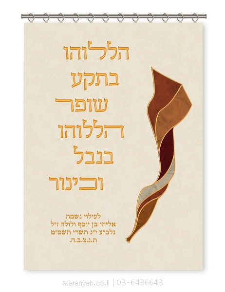 פרוכת ארון קודש מבית מתניה עם רקמה איכותית ואומנותית תלת‑ממדית