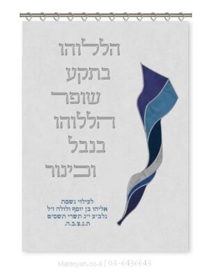 פרוכת ארון קודש מבית מתניה עם רקמה איכותית ואומנותית תלת‑ממדית