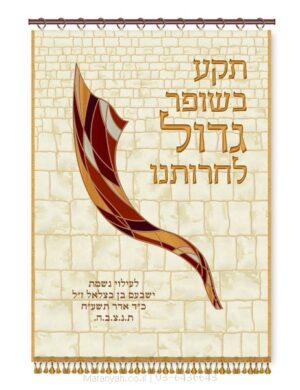 פרוכת ארון קודש מבית מתניה עם רקמה איכותית ואומנותית תלת‑ממדית