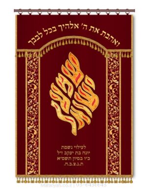 פרוכת ארון קודש מבית מתניה עם רקמה איכותית ואומנותית תלת‑ממדית
