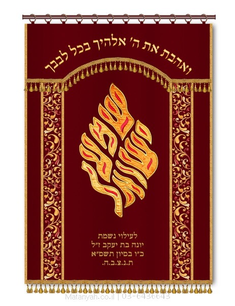 פרוכת ארון קודש מבית מתניה עם רקמה איכותית ואומנותית תלת‑ממדית