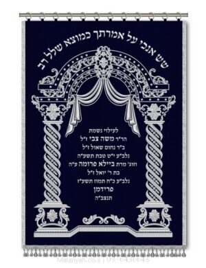 פרוכת ארון קודש מבית מתניה עם רקמה איכותית ואומנותית תלת‑ממדית