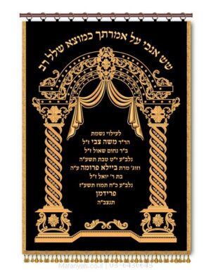 פרוכת ארון קודש מבית מתניה עם רקמה איכותית ואומנותית תלת‑ממדית
