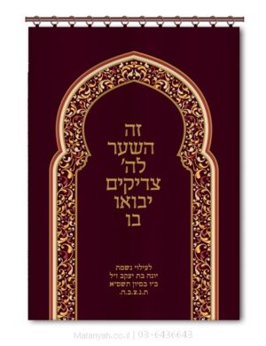 פרוכת ארון קודש מבית מתניה עם רקמה איכותית ואומנותית תלת‑ממדית