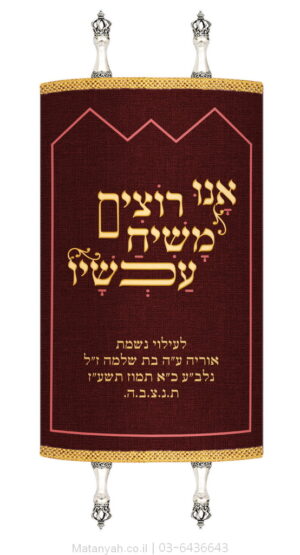 מעיל לספר תורה קונטור 770 זהב