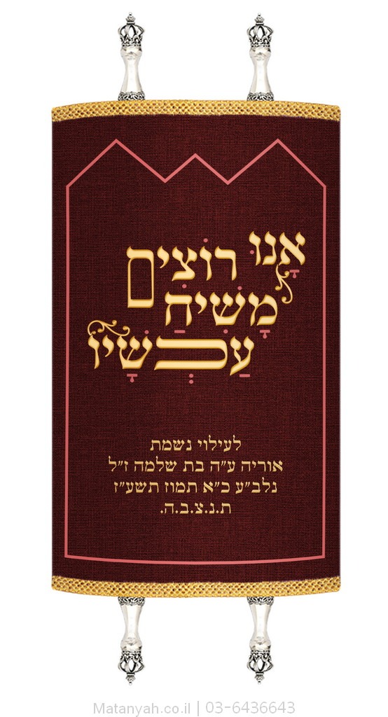 מעיל לספר תורה קונטור 770 זהב