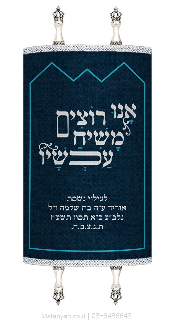 מעיל לספר תורה קונטור 770 כסף מעיל לספר תורה קונטור 770 כסף