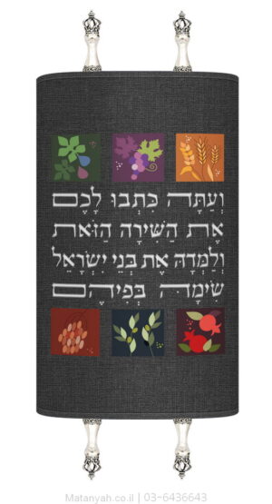 מעיל לספר תורה שבעת המינים מודרני 2