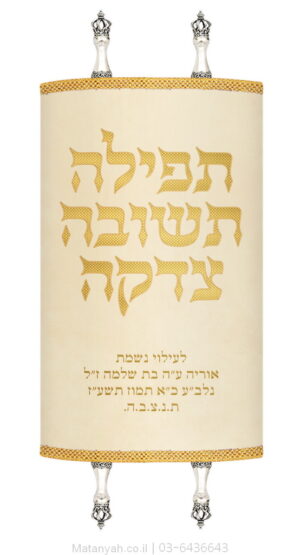 מעיל לספר תורה תשובה קרם