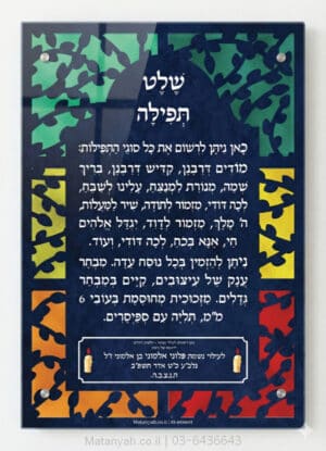 שלט זכוכית ענפי ויטראז