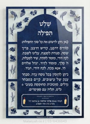 שלט זכוכית שבעת המינים ענפים