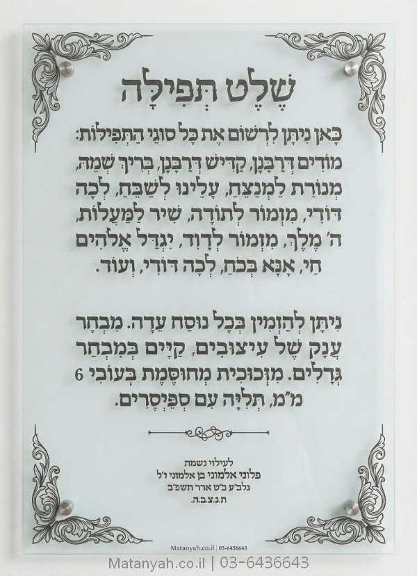 שלט זכוכית דגם הוד