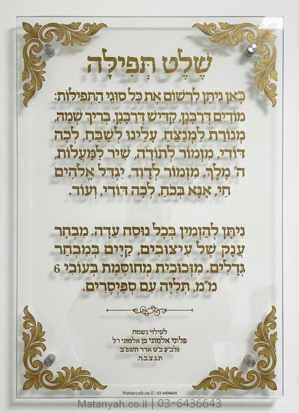 שלט זכוכית דגם גלעד