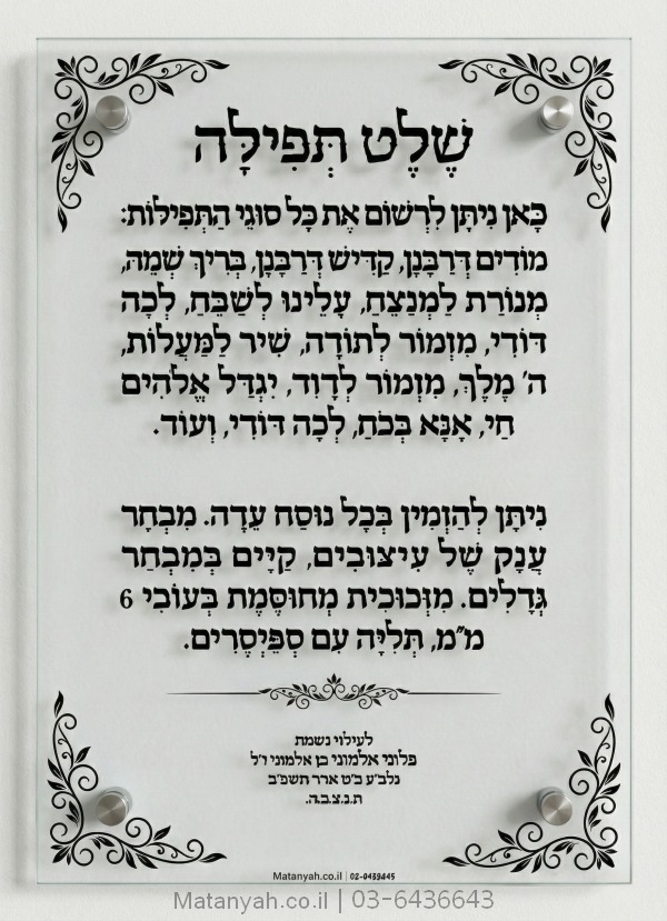 שלט זכוכית דגם ארבל