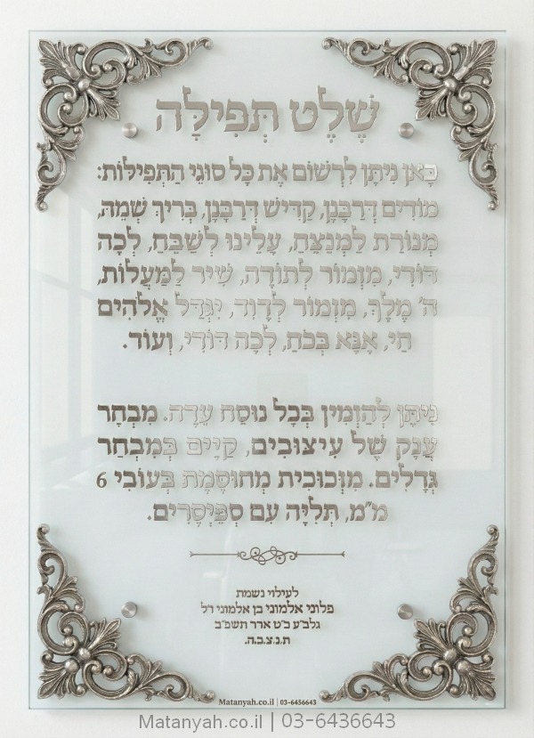 שלט זכוכית דגם סיני