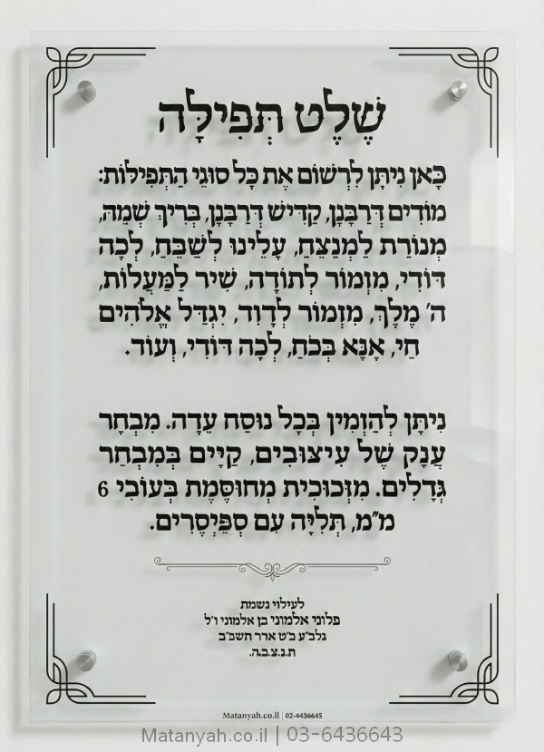 שלט זכוכית דגם כרמל