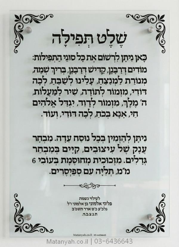 שלט זכוכית דגם ענבר