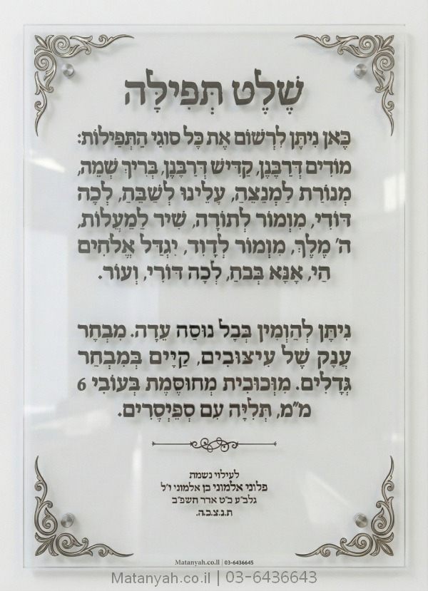 שלט זכוכית דגם טופז