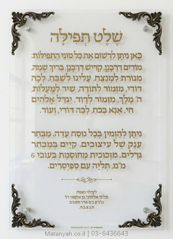 שלט זכוכית דגם שוהם