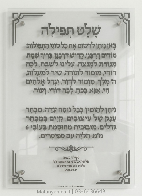 שלט זכוכית דגם ברקת