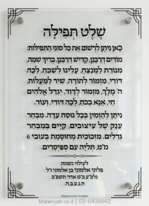 לוח הדפסה על זכוכית